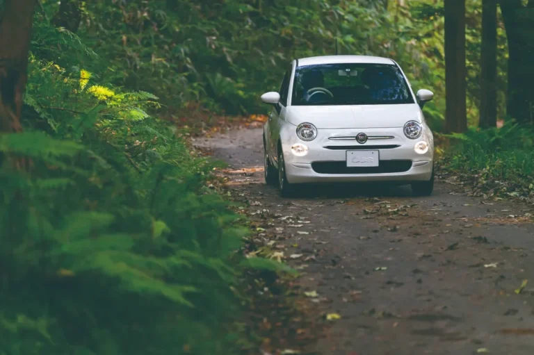 FIATのプロジェクト「＃MY FIRST FIAT」と 「MEGURIWA」がコラボレーション。