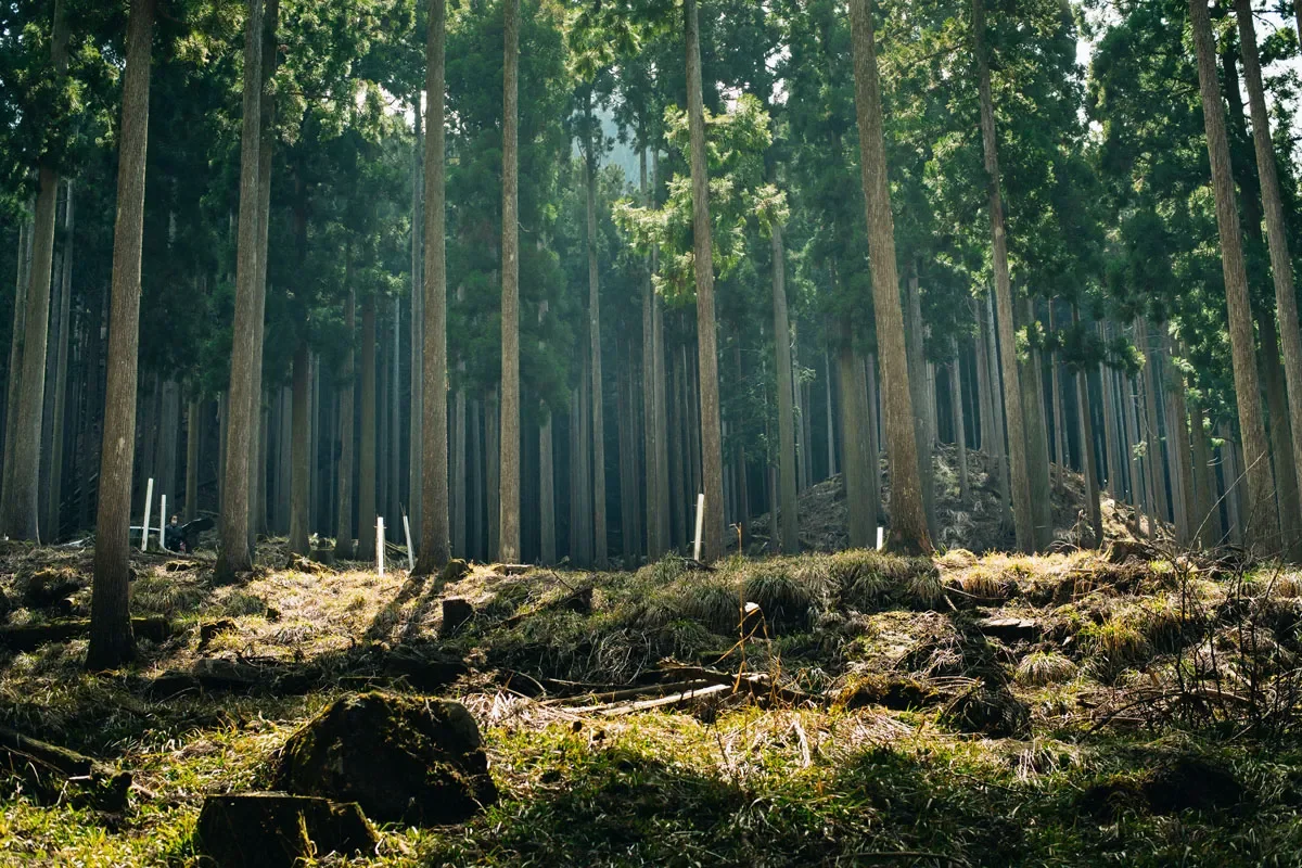 記事制作「村、森、人。岡山県・西粟倉が活かされ、活かすもの 」 | 牧 大介